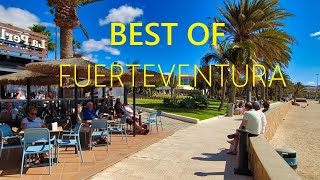 BEST OF FUERTEVENTURA SPAIN 2025 🇪🇸 🔴[4K UHD]