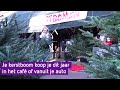Cafebazen verkopen kerstbomen in plaats van bier