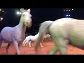 Big Apple Circus Bensalem PA May 2018