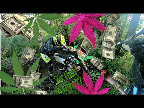 Sajko Tribute (KRLOTE TEAM)