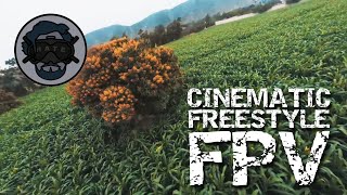 Cinematic Longrange Freestyle FPV: 4K Pachacamac 2021 (DJI Digital System Goggles)