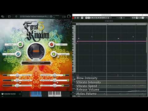 Through the Canyons by Eduardo Tarilonte | Forest Kingdom 3 | Engine Audio