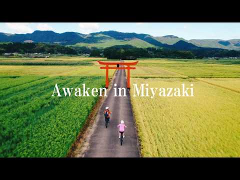 Awaken in Miyazaki ～ Where nature refines the soul ～