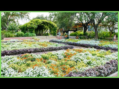 How big is San Antonio Botanical Gardens?