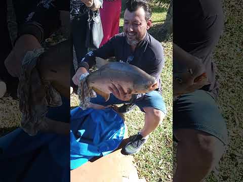 Pesqueiro em Igaratá sp 🇧🇷
