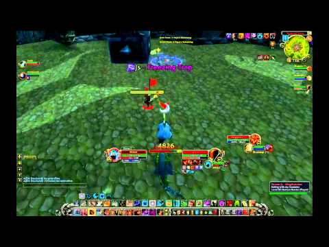 [Gladiator Miirkat] 4.0.6 Kitty Cleave vs Ret/Hunter/R.Shaman