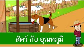 สื่อการเรียนการสอน การตอบสนองต่อสิ่งเร้าของสัตว์ ตอน อุณหภูมิป.4วิทยาศาสตร์