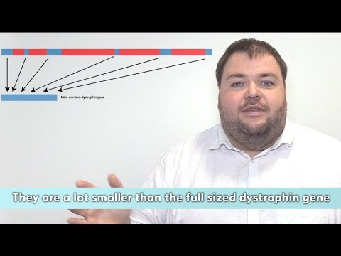 Duchenne Research Explained: Gene Therapy Series, Episode 3