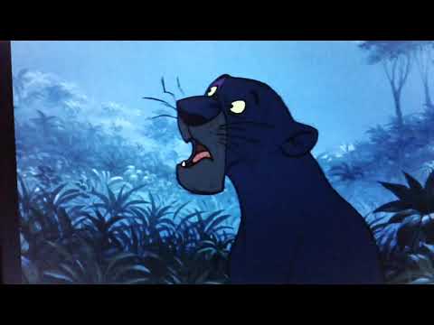 "Kung Fu Pig" Part 3 - Enter Parsley/Bagheera's Vision