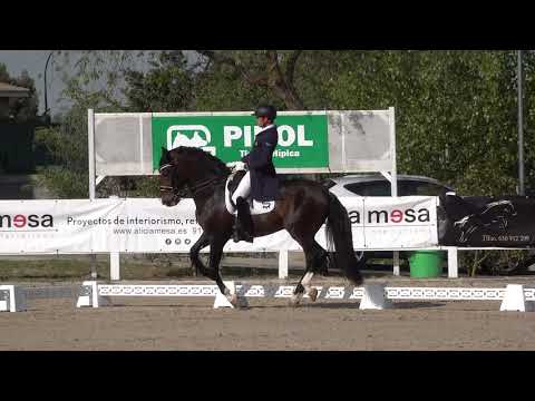 Nadal de Susaeta & Guillermo Garcia Ayala - Spanish horse Gran Prix Test - First positión 71,703%