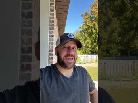 More Of This Immediately… #shortsvideo #shortsfeed #congress #langley Thumbnail