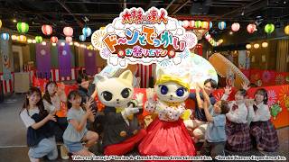 ナンジャタウンで🏮ドーンとでっかいお祭りだドン🏮