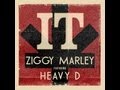 Ziggy Marley ft. Heavy D - "It"