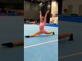 The Gymnastics Mobility Challenge Stretching Shorts