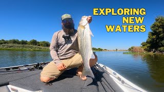 Exploring NEW WATERS Bass Fishing on the California Delta