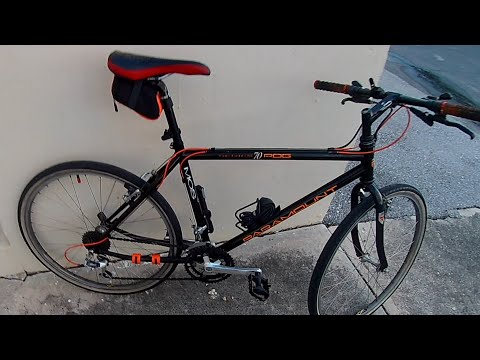 1991 Schwinn Paramount PDG 70