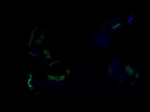 Glow in Dark Daft Hands