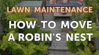 How to Move a Robin
