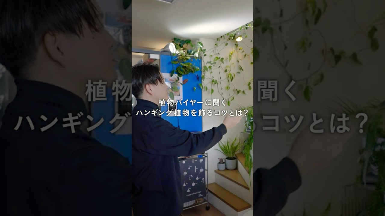 観葉植物の新しい飾り方！植物バイヤーが実践するハンギング植物のスタイリング！