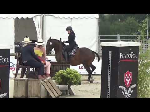 World Championship Working Equitation 2022 in les Herbiers speed test Steklova Lenka on DIOSPIRA