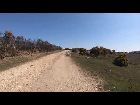 Hampton Ridge & Hyde Common 240421 (Part 1b)