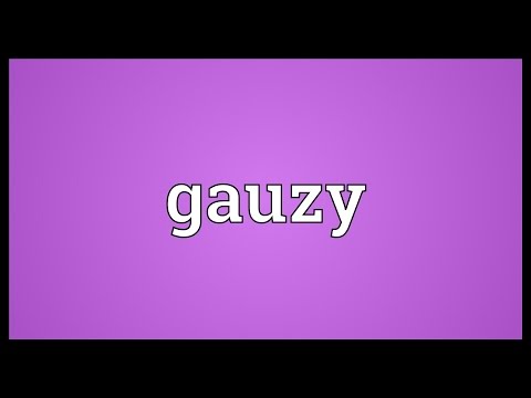 Gauzy Definition