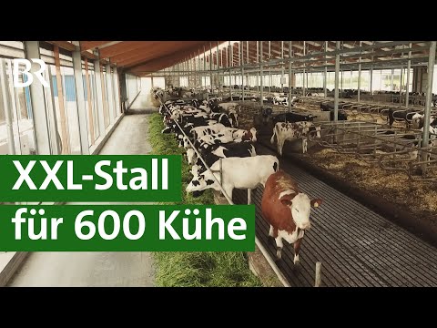 , title : 'XXL-Kuhstall in Franken - Tierwohlstall oder Massentierhaltung? | Unser Land | BR Fernsehen'
