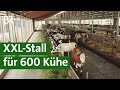 XXL Kuhstall In Franken Tierwohlstall Oder Massentierhaltung Unser Land BR Fernsehen