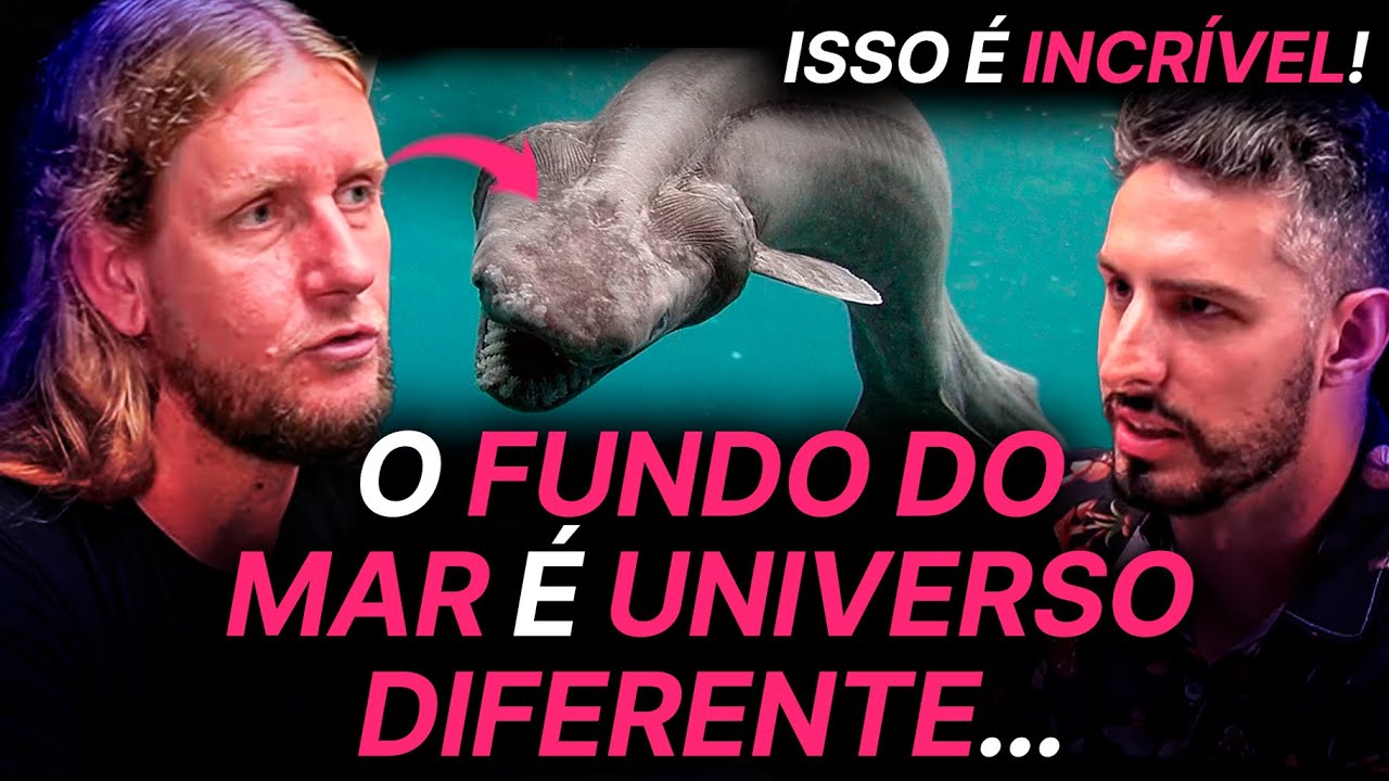 POR QUE É TÃO DIFÍCIL EXPLORAR O FUNDO DO MAR? BIOLÓGO EXPLICA
