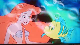 TLM-Ariel Tickles Flounder's Chin