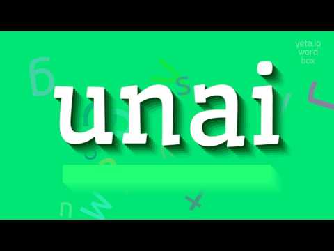 UNAI - HOW TO SAY UNAI? #unai