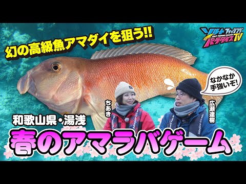 和歌山県・湯浅で春のアマラバゲーム（ソルパラTV・第184回2024年4月4日放送）