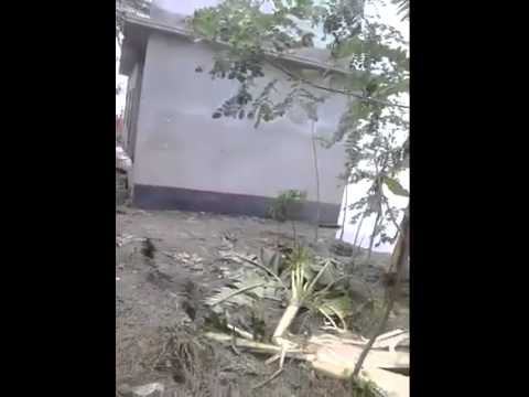 11154275 1585263338408476 523088653 n