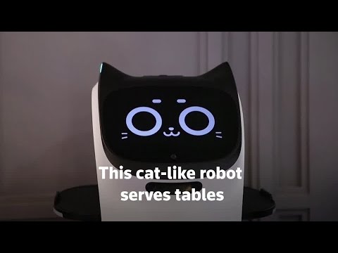 A cat-like robot serves in a Russian café