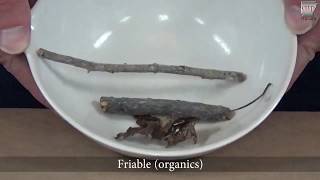 ARDOT 302 - Deleterious Particles