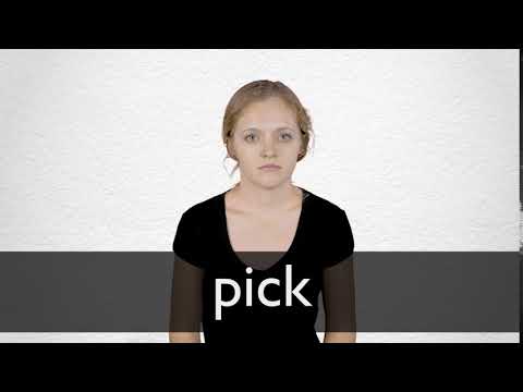 What is the meaning of the word PICK? 
