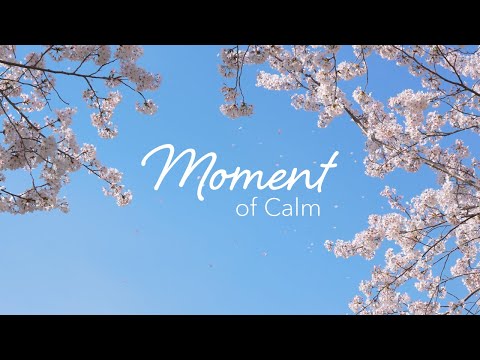 Moment of Calm Belief