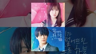 [네가 떨어뜨린 푸른 하늘] 한국 공식 메인 예고편