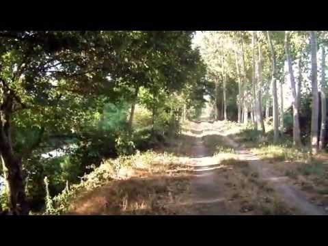 La mattina presto sull'argine del fiume.