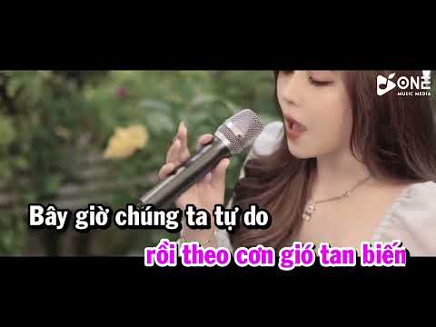 Karaoke Người Em Từng Yêu -  Ngân Ngân  [Tone Nam]