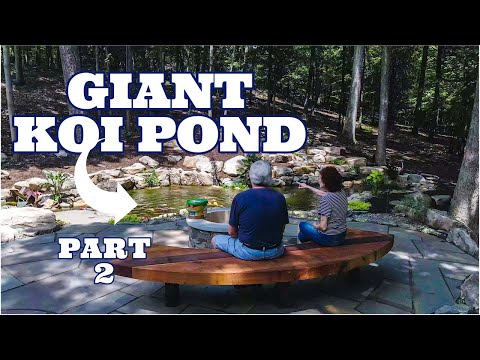 Custom Pond for LARGE KOI | part 2
