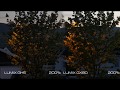 panasonic lumix gh5 vs gx80 night time comparison 4k