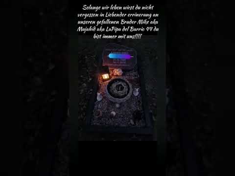 LaMalicia44-jungle of concrete