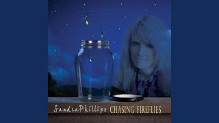 Chasing Fireflies