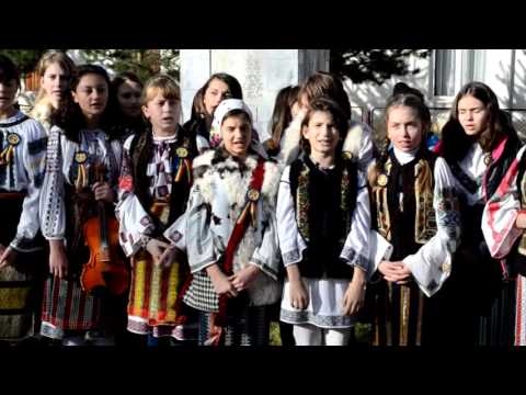 Sărbătorirea Zilei Naționale a Romaniei in Orasul Brosteni