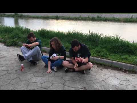 Flashmob - Napcsalogató KoliSOKK 2017