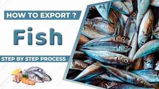 How to Export Fish A to Z information | Fish Export Import Business | by Paresh Solanki