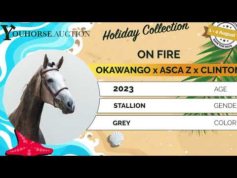 youtube preview