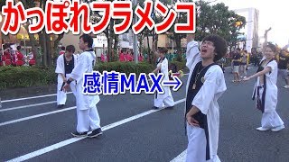 全力で『かっぽれフラメンコ』踊ってみた【清水みなと祭り2017】