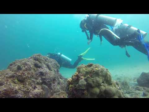 Scuba diving Isla de la Plata - Fondo Azul